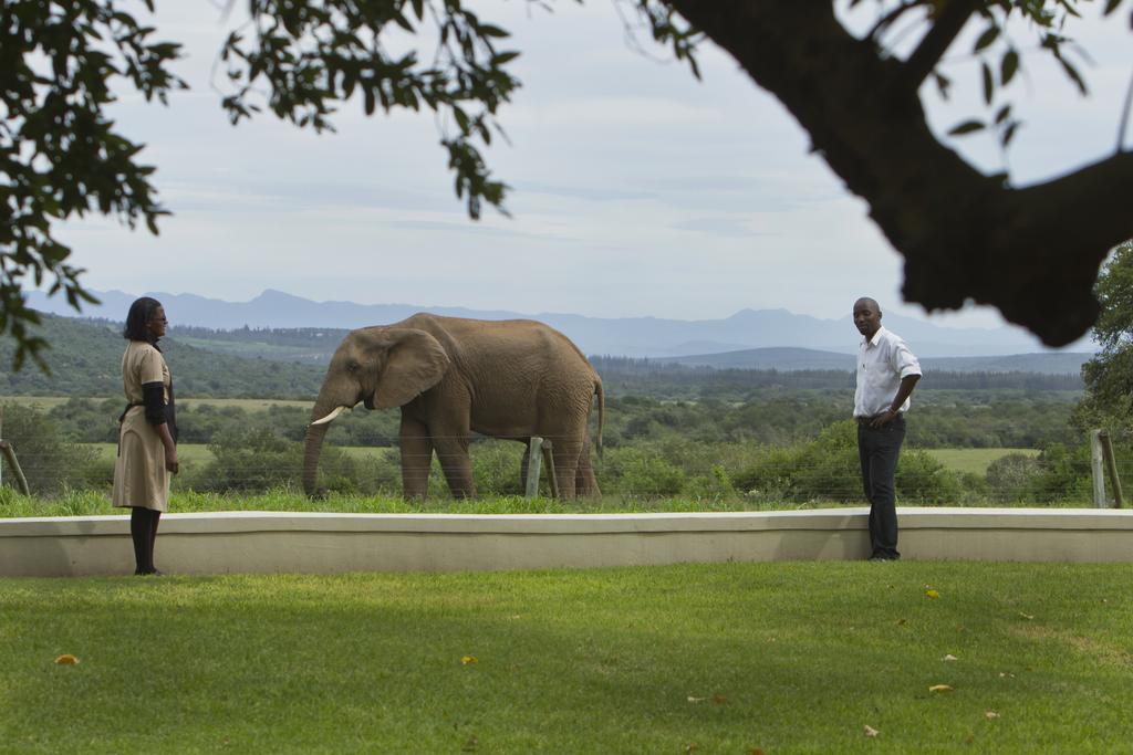 Riverbend Lodge Addo Exterior foto